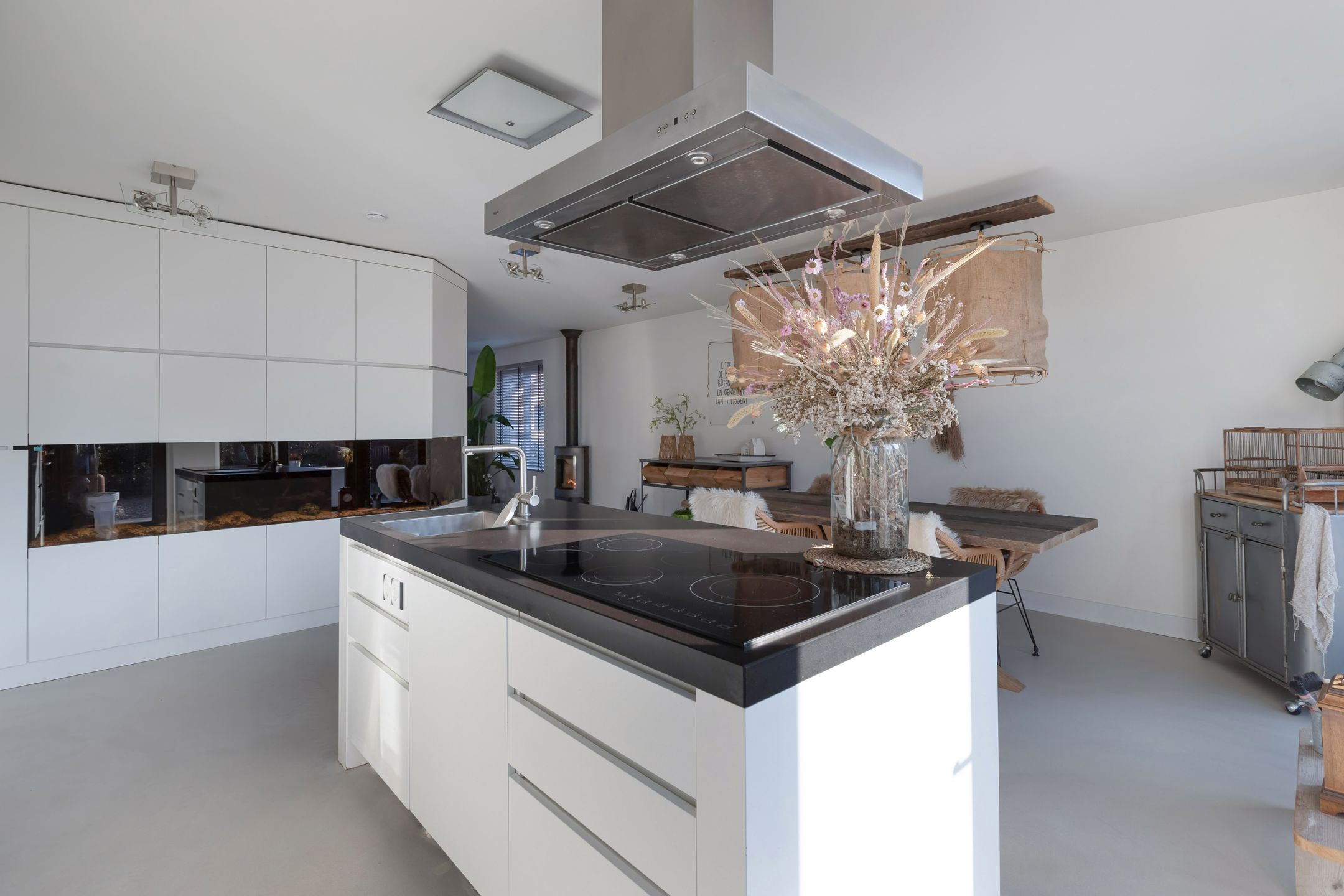 Foto 15 van Meerkoet 13