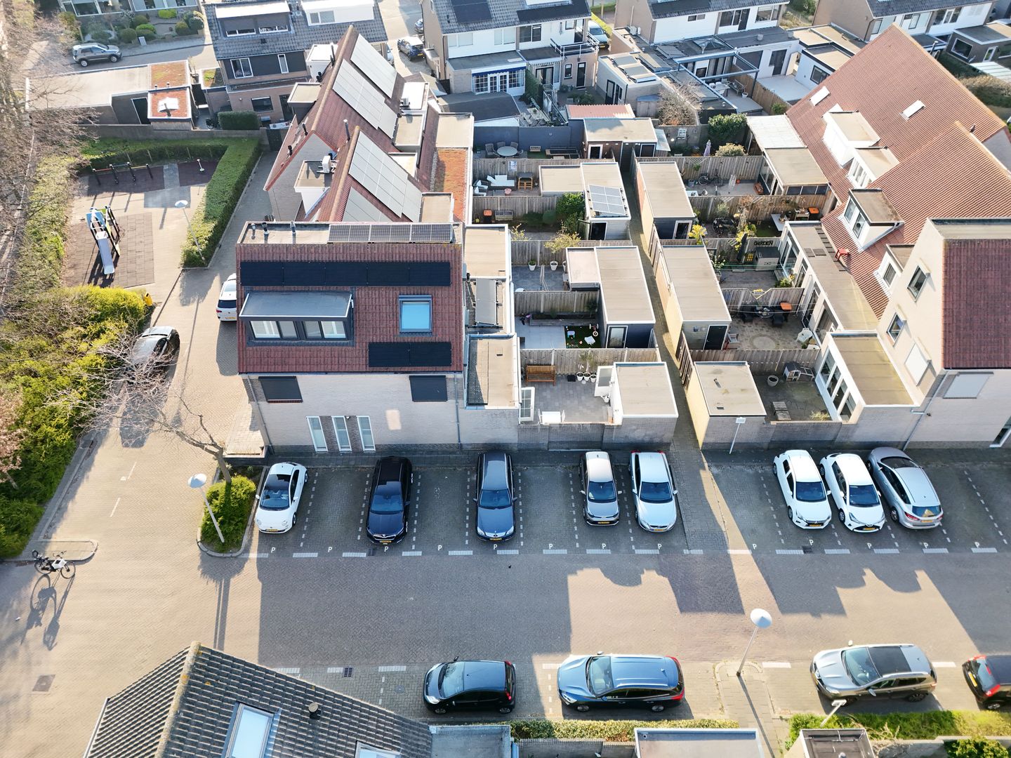 Foto 50 van Kamperfoelie 48