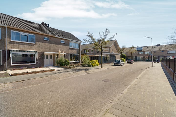 Foto 51 van Lankforst 2506