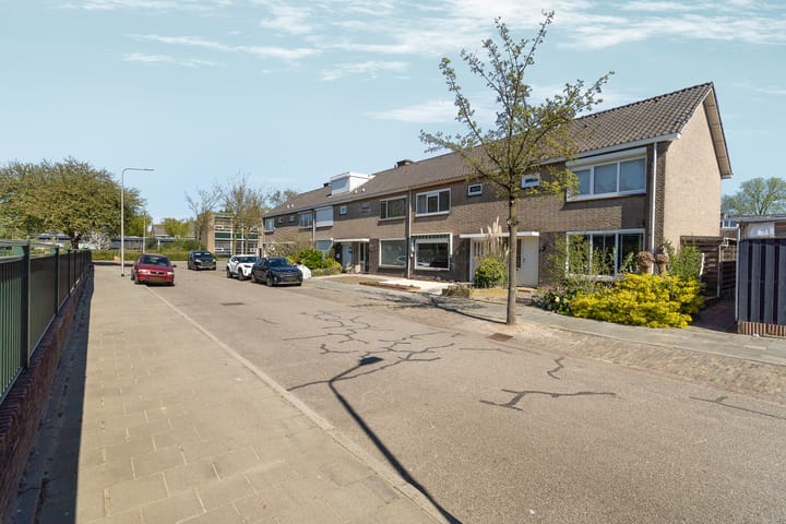 Foto 52 van Lankforst 2506