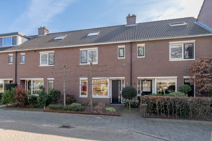 Wezeboom 8