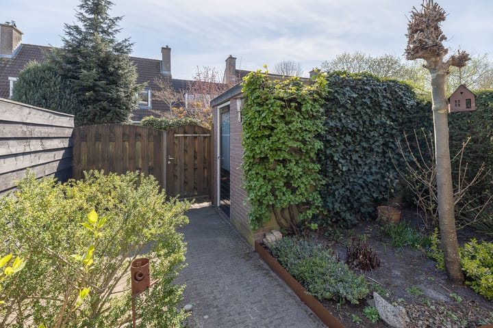 Foto 40 van Wezeboom 8