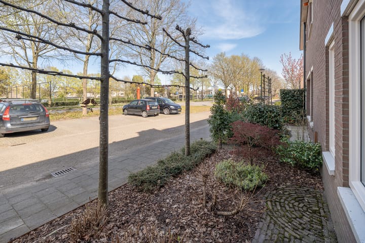 Foto 45 van Wezeboom 8