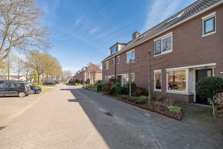 Foto 48 van Wezeboom 8