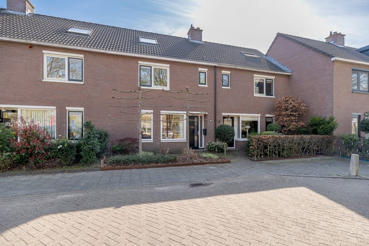 Foto 49 van Wezeboom 8