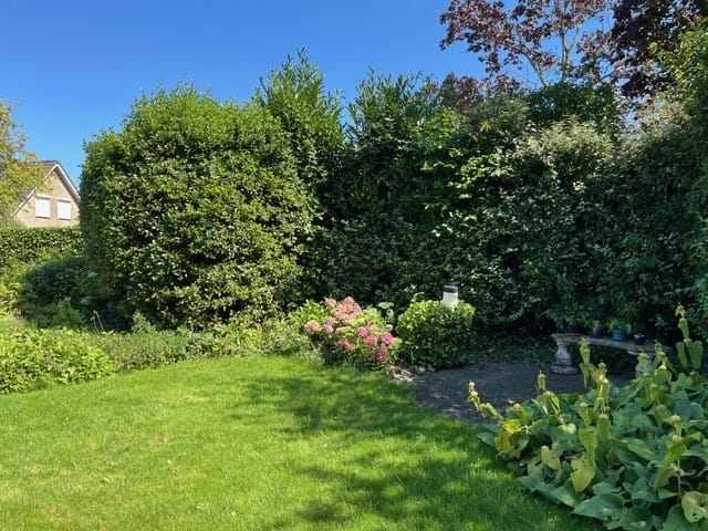 Foto 28 van Krommemeet 25