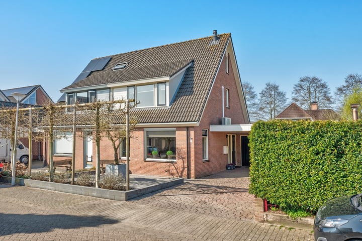 Madeliefje 3