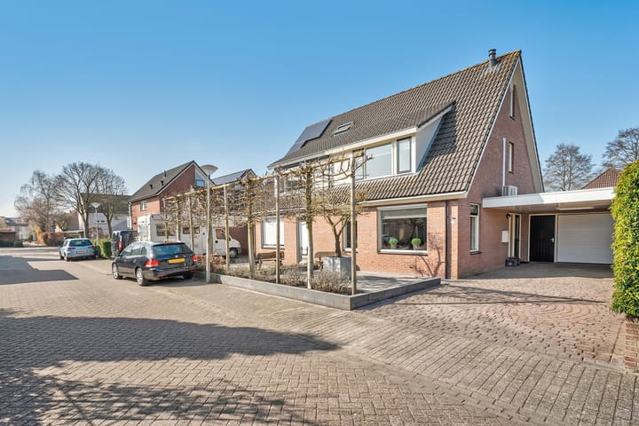 Foto 2 van Madeliefje 3