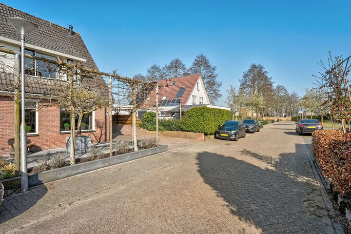 Foto 3 van Madeliefje 3