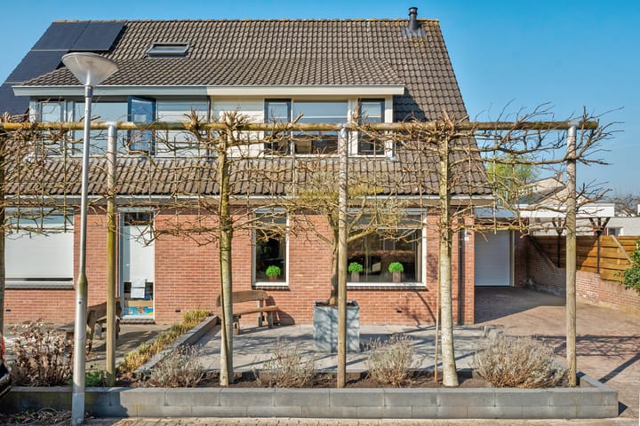 Foto 5 van Madeliefje 3