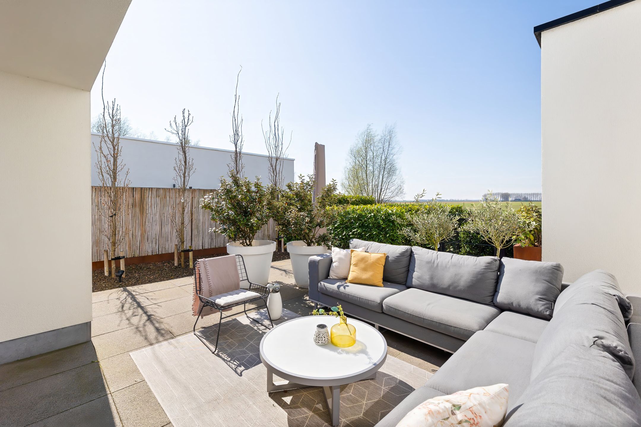 Foto 24 van Begoniastraat 8