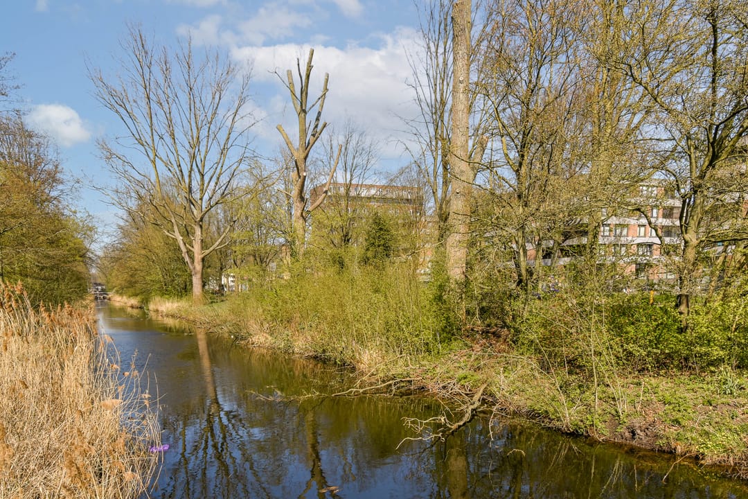 Photo 23 of Langswater 87