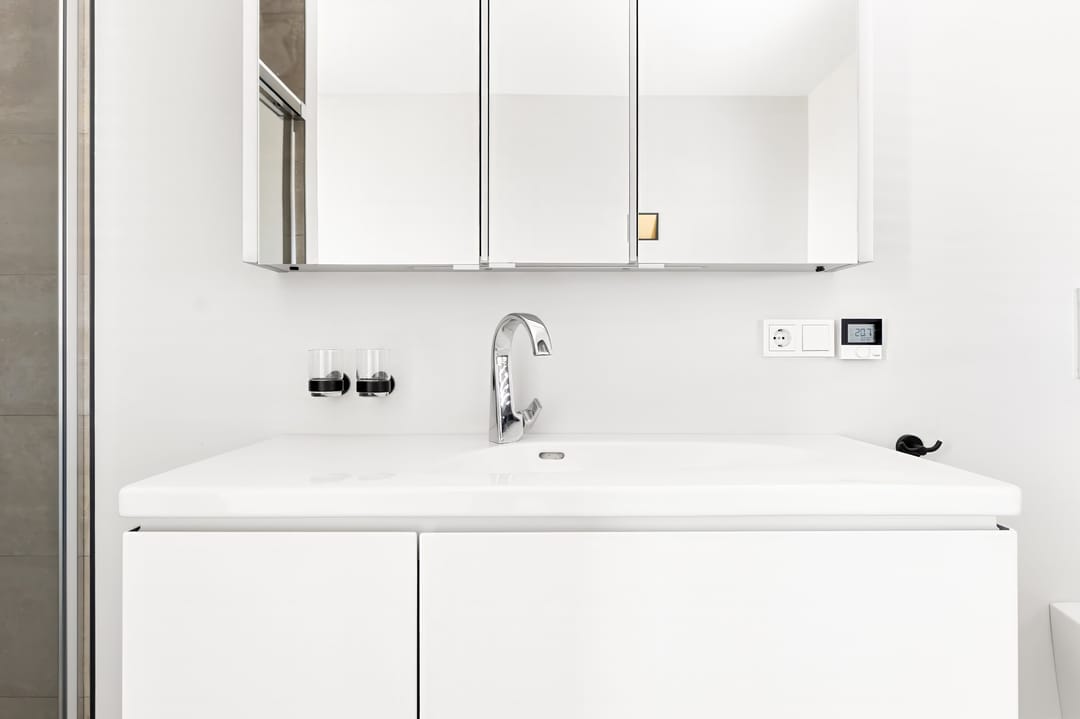 Foto 43 van Begoniastraat 8