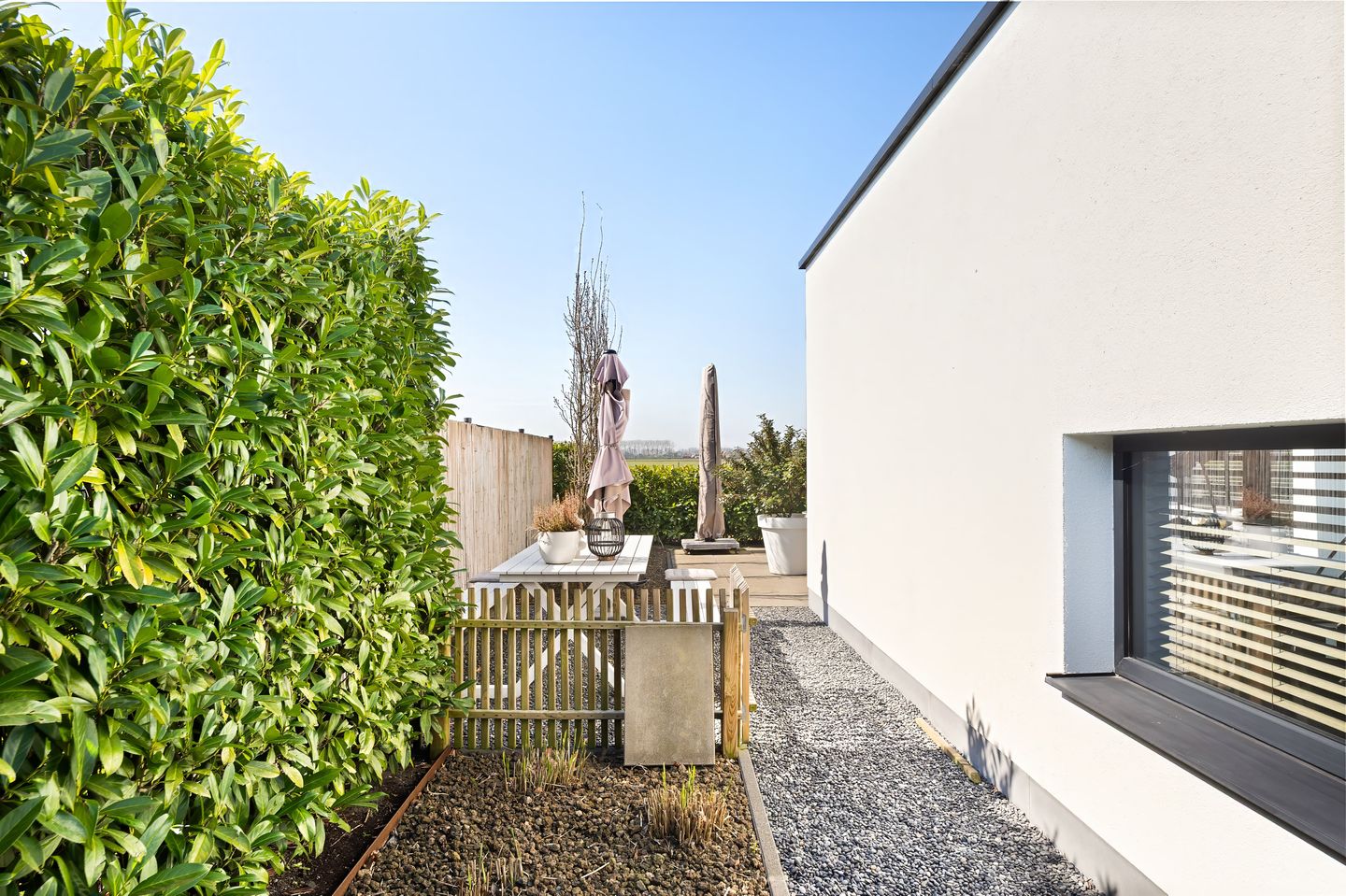 Foto 50 van Begoniastraat 8