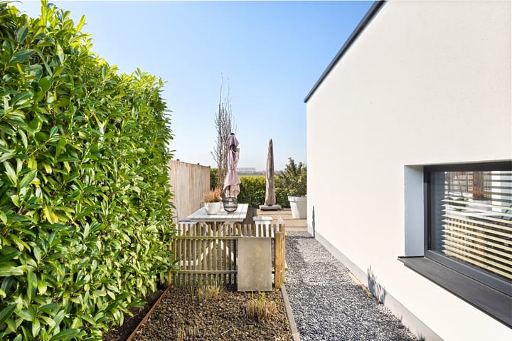 Photo 50 of Begoniastraat 8