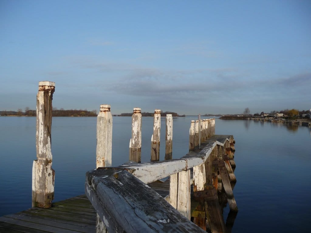 Photo 7 of Reigerlaan 38