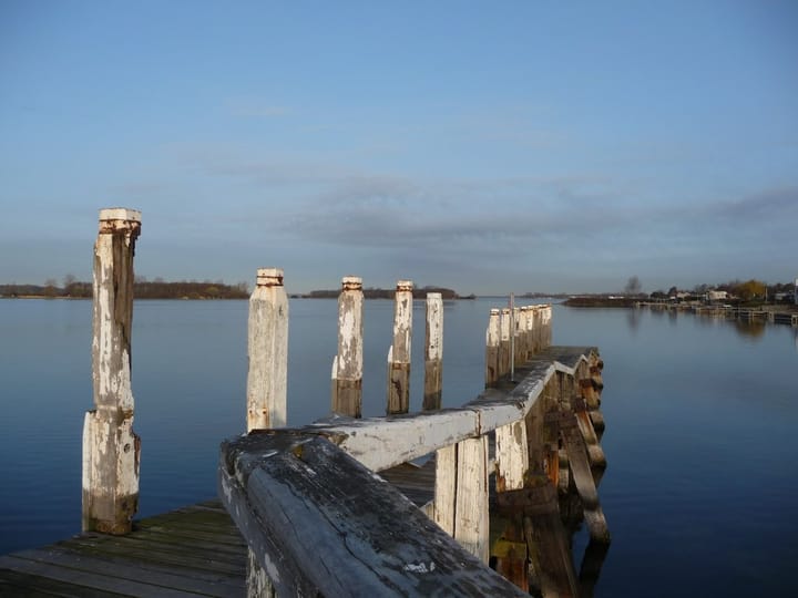 Foto 7 van Reigerlaan 38