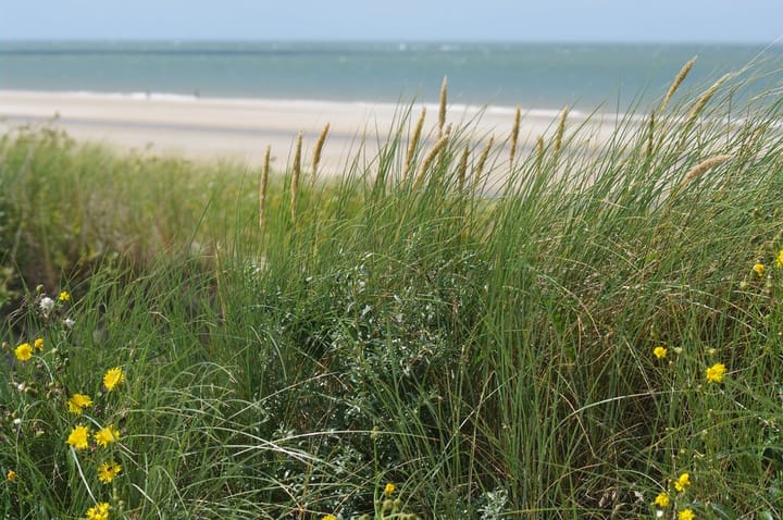 Foto 11 van Reigerlaan 38