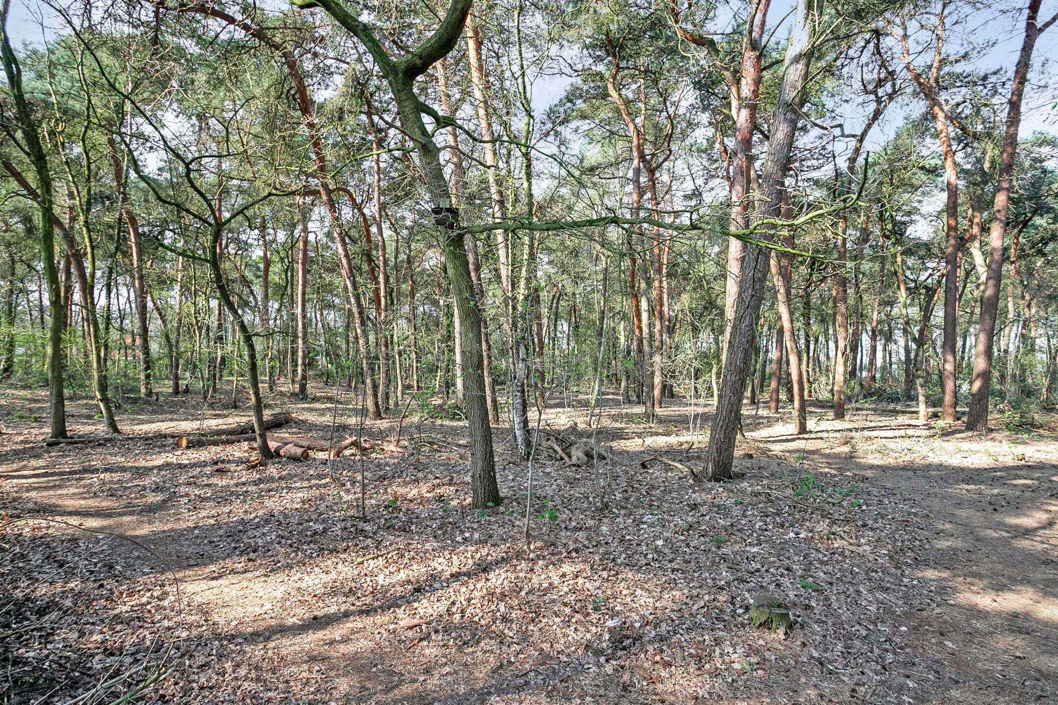 Foto 51 van Kerkbosweg 21