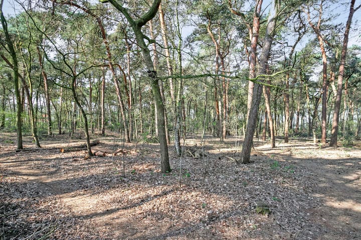 Foto 51 van Kerkbosweg 21