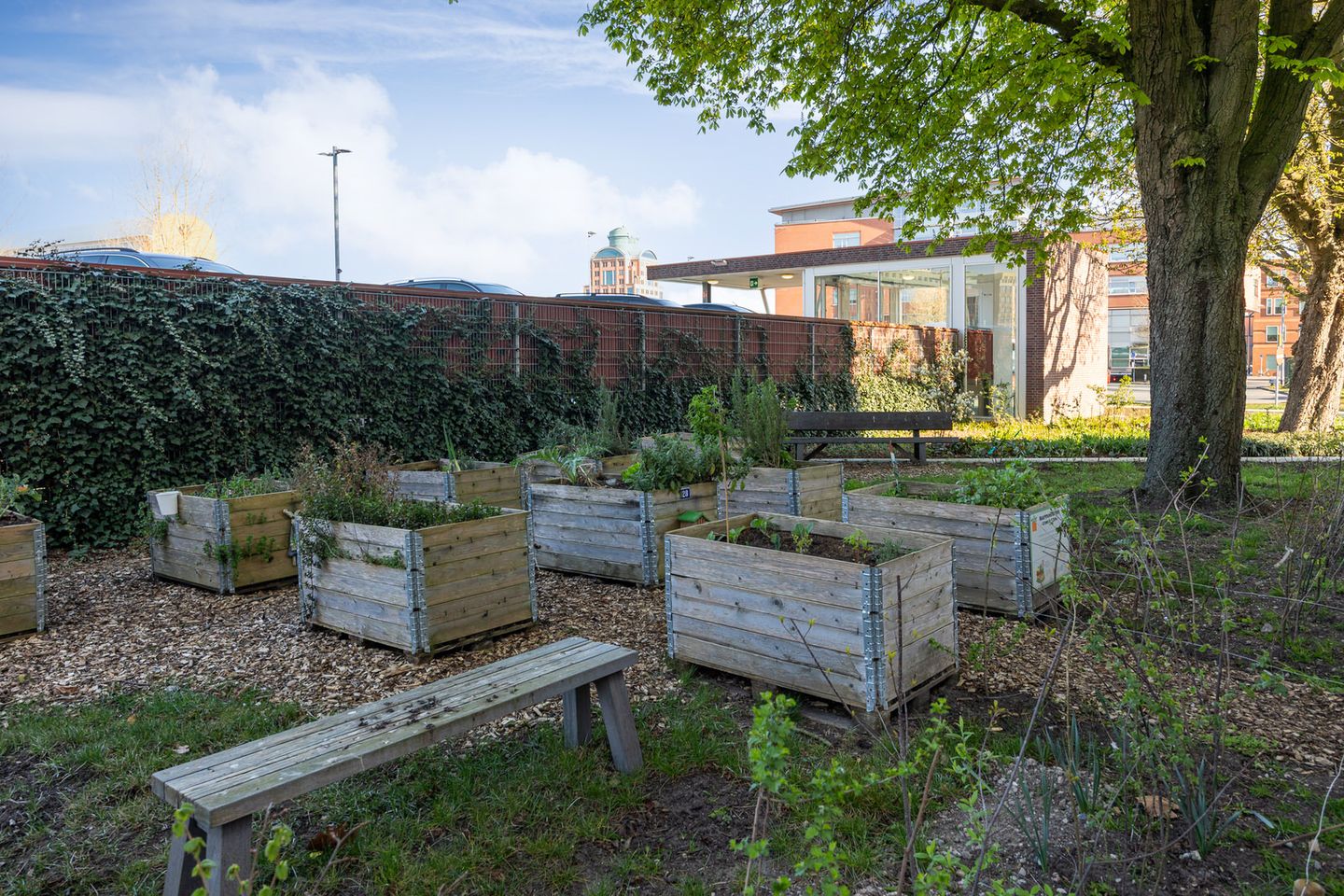 Foto 34 van Hertogstraat 18