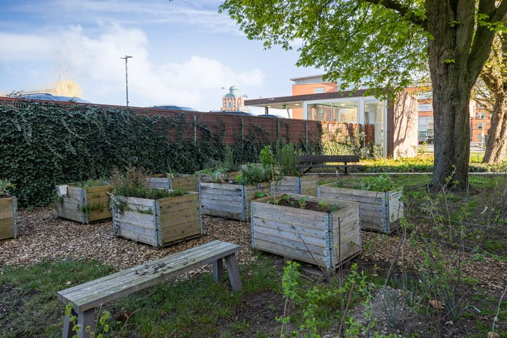 Foto 34 van Hertogstraat 18