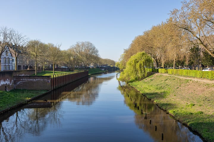 Foto 39 van Hertogstraat 18