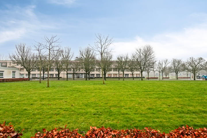 Foto 31 van P. Verhagenstraat 3