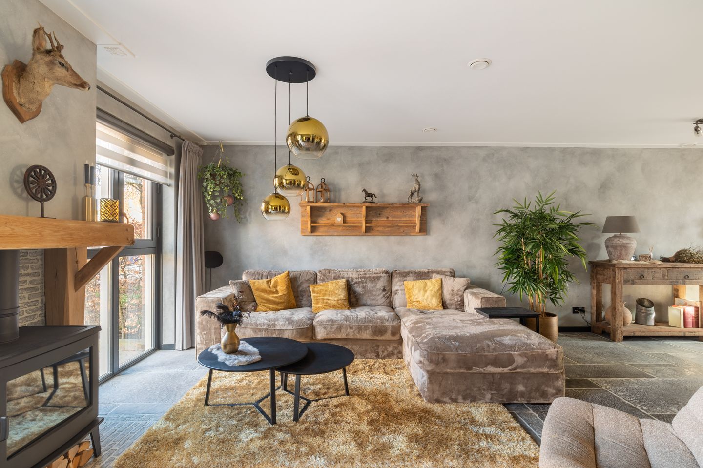 Foto 5 van Wim Kanlaan 36