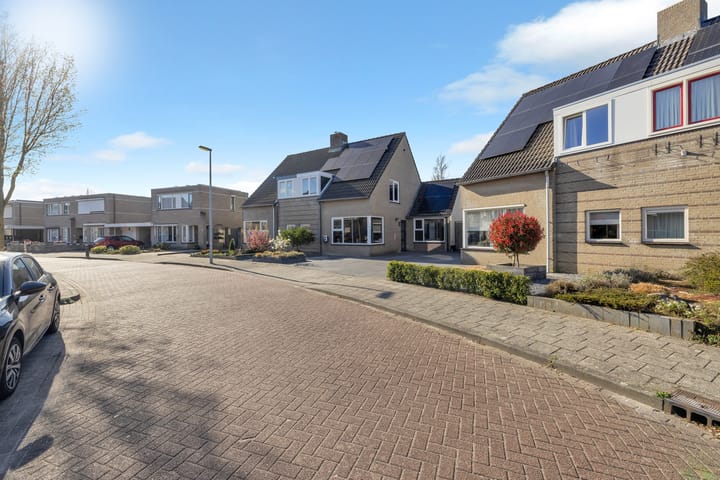 Foto 40 van Otter 19