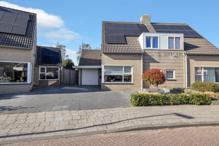 Foto 39 van Otter 19