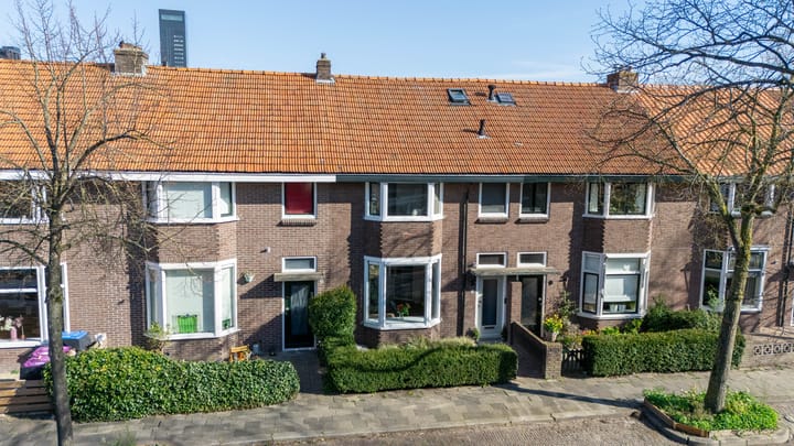 Foto 36 van Ruysdaelstraat 24