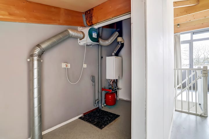 Foto 32 van Fluitenkruid 32