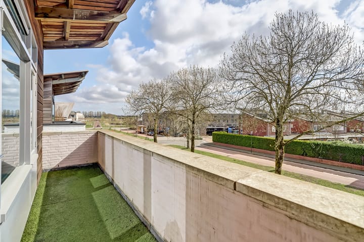 Foto 34 van Fluitenkruid 32