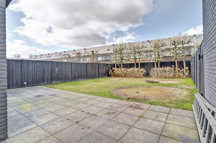 Foto 37 van Fluitenkruid 32