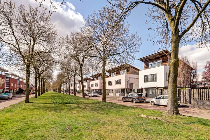 Foto 38 van Fluitenkruid 32