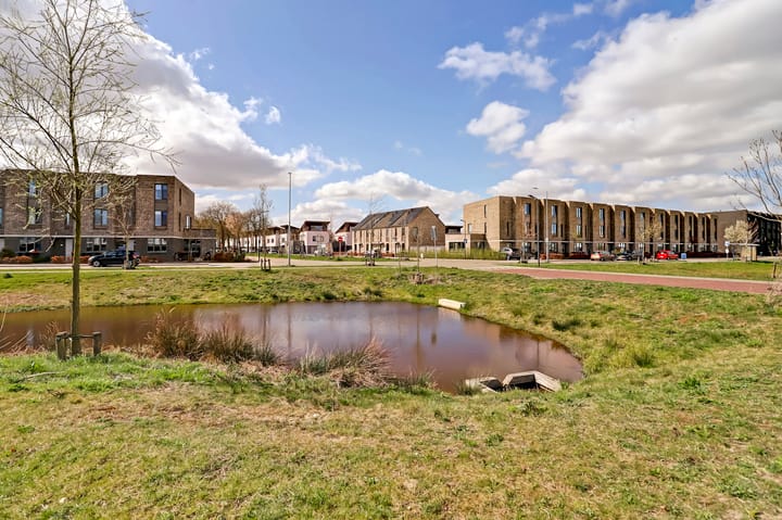 Foto 40 van Fluitenkruid 32