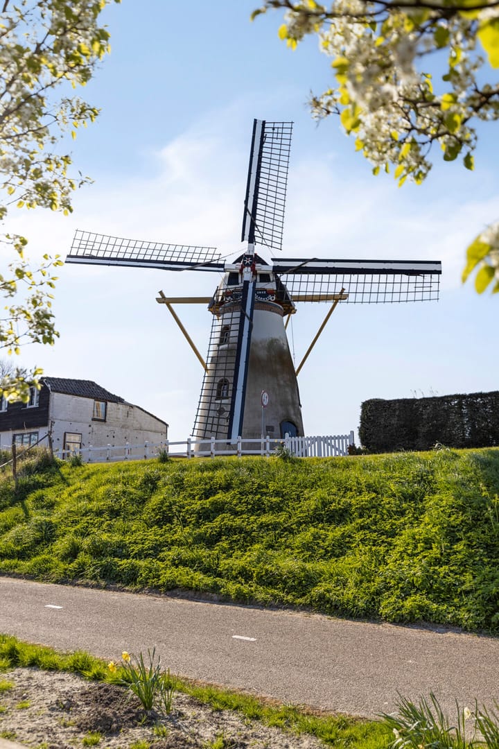 Foto 41 van Tuinstraat 10