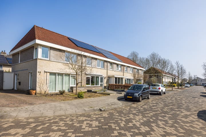 Foto 3 van Pinksterbloem 28