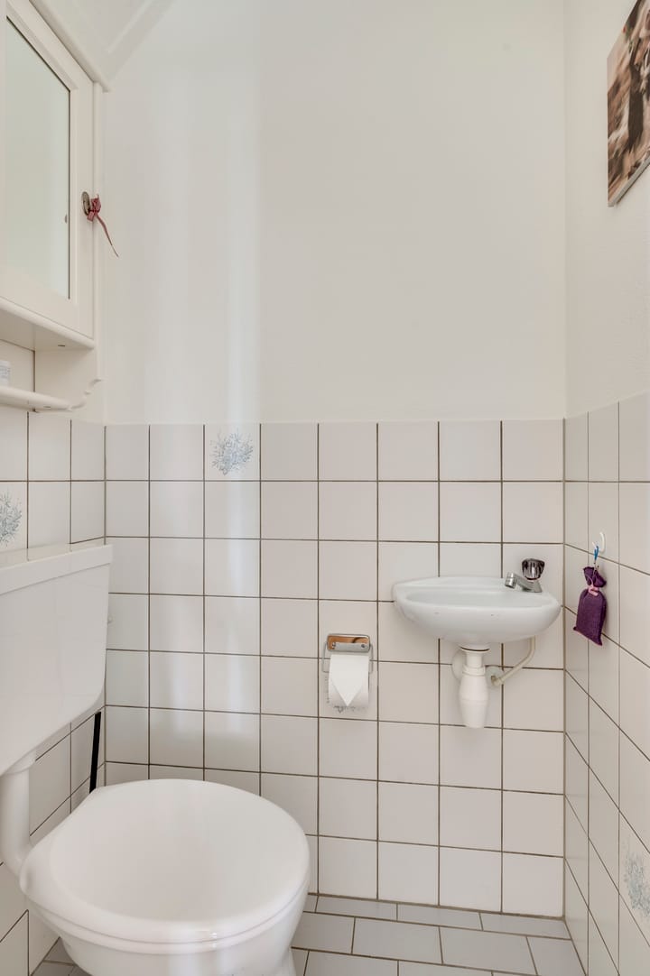 Foto 7 van Kelperveen 19