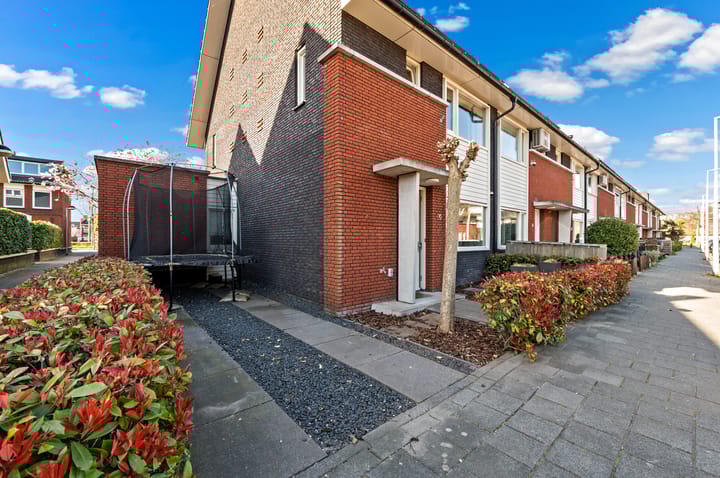 Foto 43 van Platostraat 32