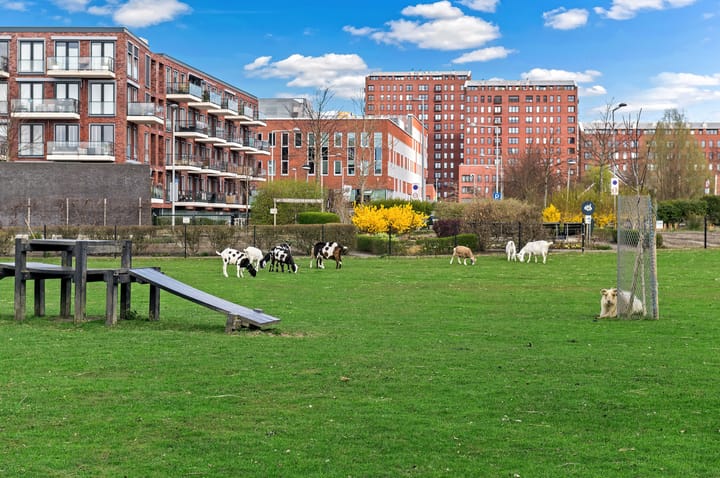 Foto 53 van Platostraat 32