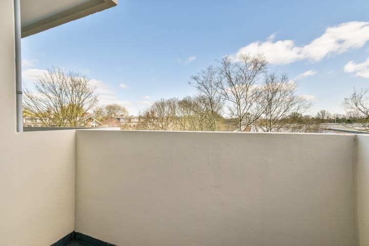 Foto 20 van Van Boshuizenstraat 625