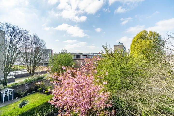 Foto 3 van Spinozalaan 61