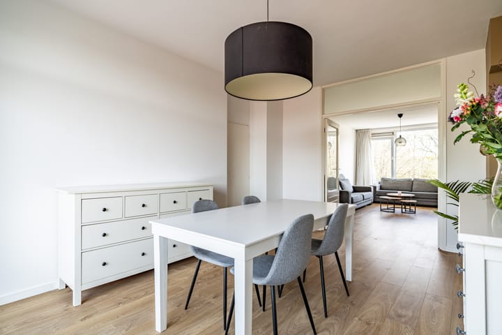 Photo 12 of Spinozalaan 61