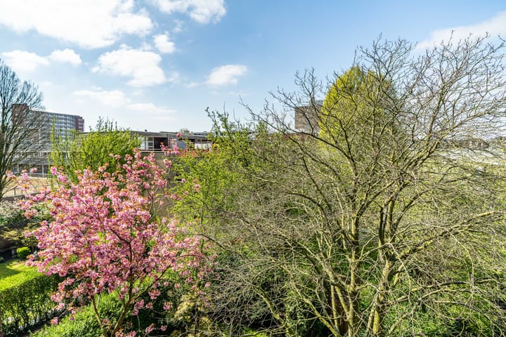 Photo 28 of Spinozalaan 61