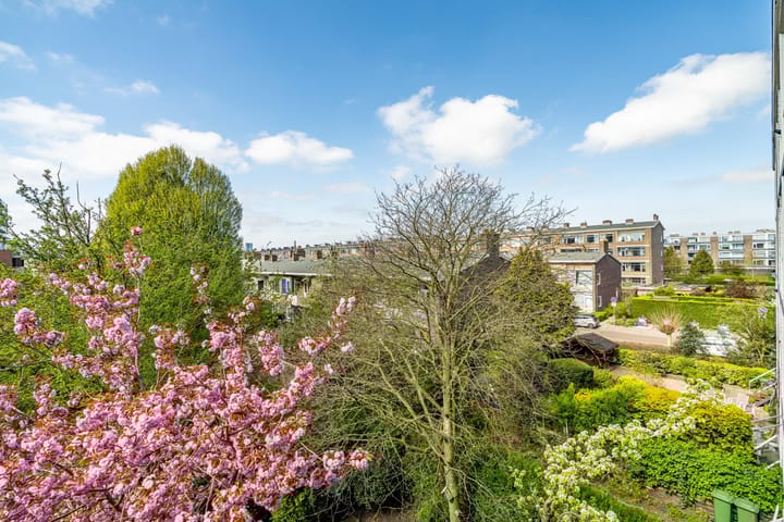 Photo 36 of Spinozalaan 61