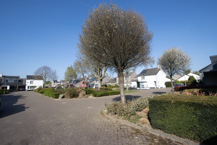 Foto 75 van Beezepool 40