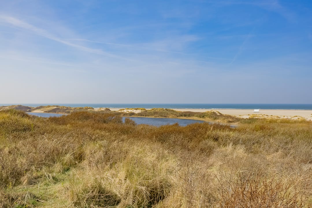 Foto 46 van IJmuiderslag 77