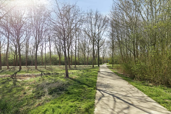 Foto 34 van Lilastraat 24